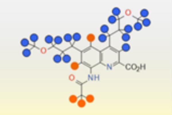 An organic molecule wher<em></em>e some hydrogens have been replac<em></em>ed with deuterium