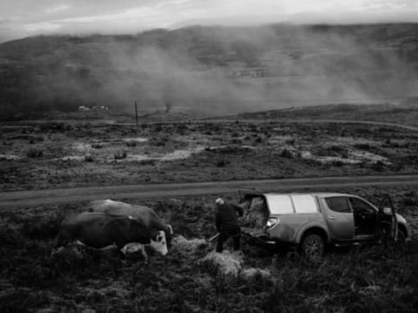 An upland farmer