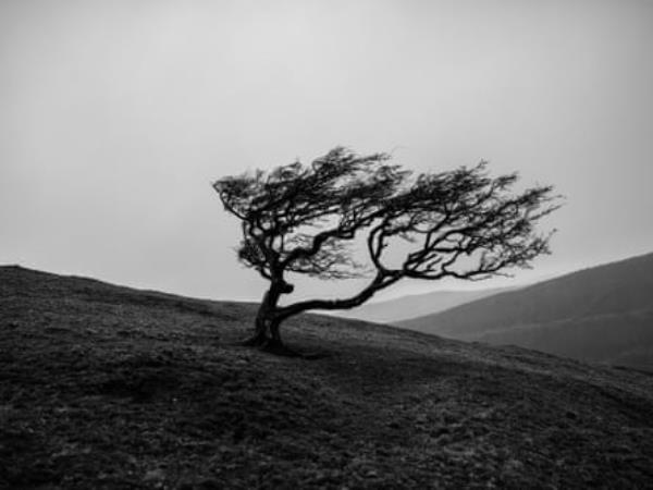 An upland farmer